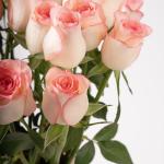 Luxury Roses in Vase