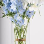 Light Blue & White Delphinium in Clear Vase