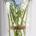 Light Blue & White Delphinium in Clear Vase