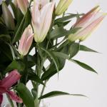 Pink Lilies in Custom Vase Selection