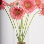 Pink Gerbera in Clear Vase