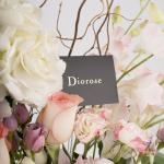 Exquisite Bloom Medley in a Luxe Box