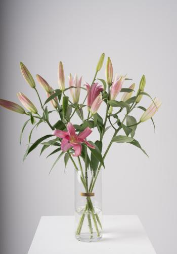 Pink Lilies in Clear Vase