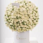 Dana – Famous Hot Sale: Spray Roses in a Box