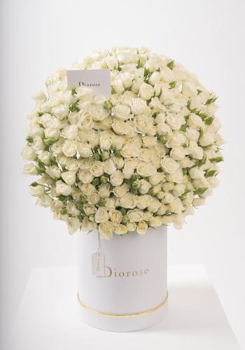 Dana – Famous Hot Sale: Spray Roses in a Box