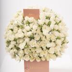 Dana – Famous Hot Sale: Spray Roses in a Box