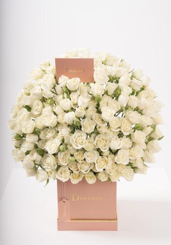 Dana – Famous Hot Sale: Spray Roses in a Box