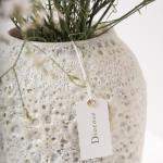 Limonium in White Textured Ceramic Vase