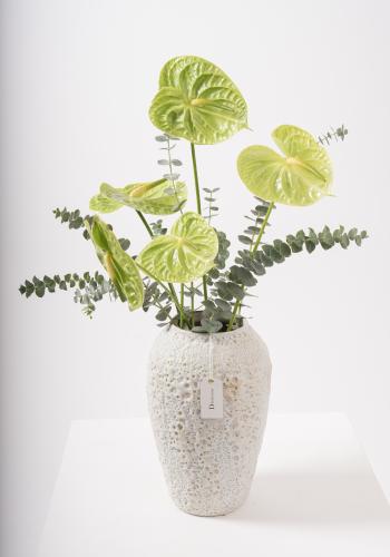 Ceramic Vase with Green Anthurium & Eucalyptus