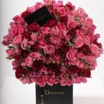Dana – Famous Hot Sale: Spray Roses in a Box